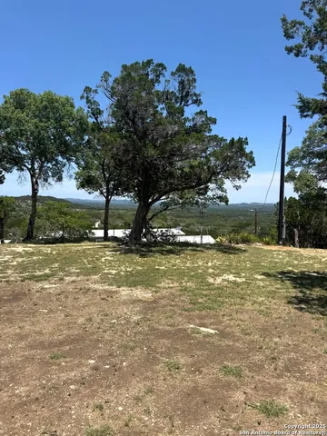 a view of a tree next to a yard