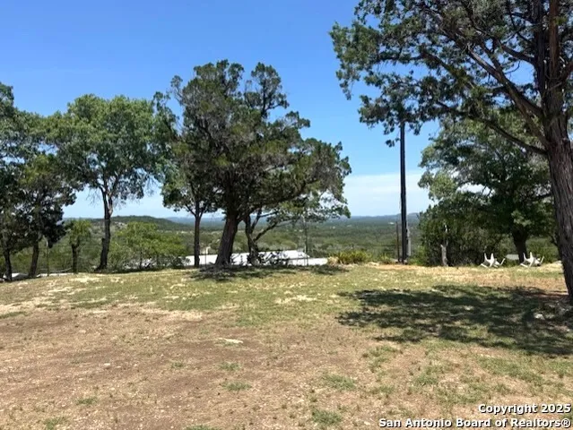 a view of a tree with a yard
