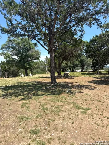 a view of yard with trees