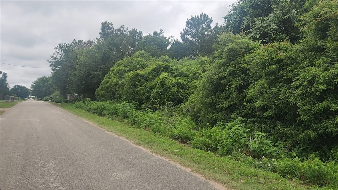 Lot 61 Greenfield Road Hempstead, TX 77445 - Photo 15 of 17 a view of a road with a forest
