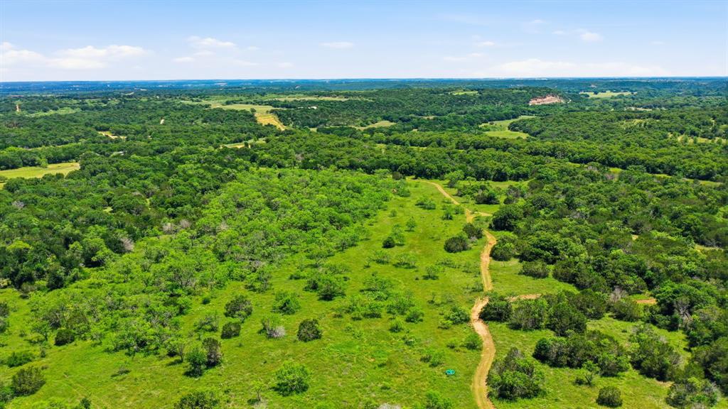 4320 Dobbs Valley Road Millsap, TX 76066 - Photo 30 of 40 a view of a green field with lots of bushes