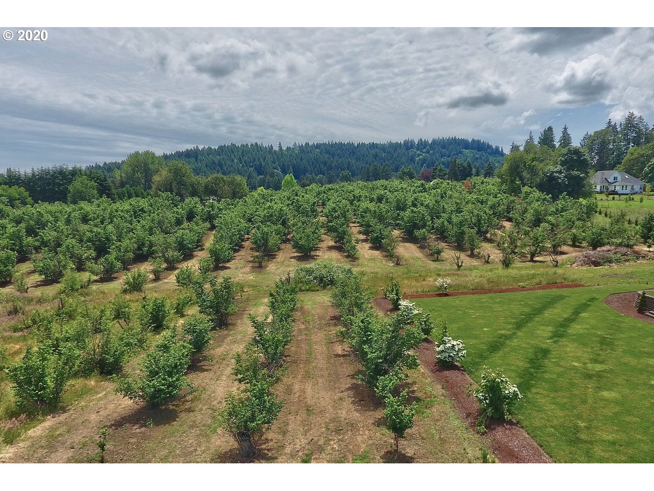 21994 Northeast Sunnycrest Road Newberg, OR 97132 - Photo 4 of 32 Gallery Image 4