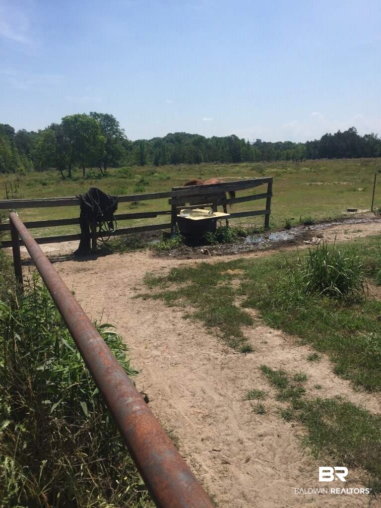 20008 South State Road 55 Andalusia, AL 36420 - Photo 2 of 2