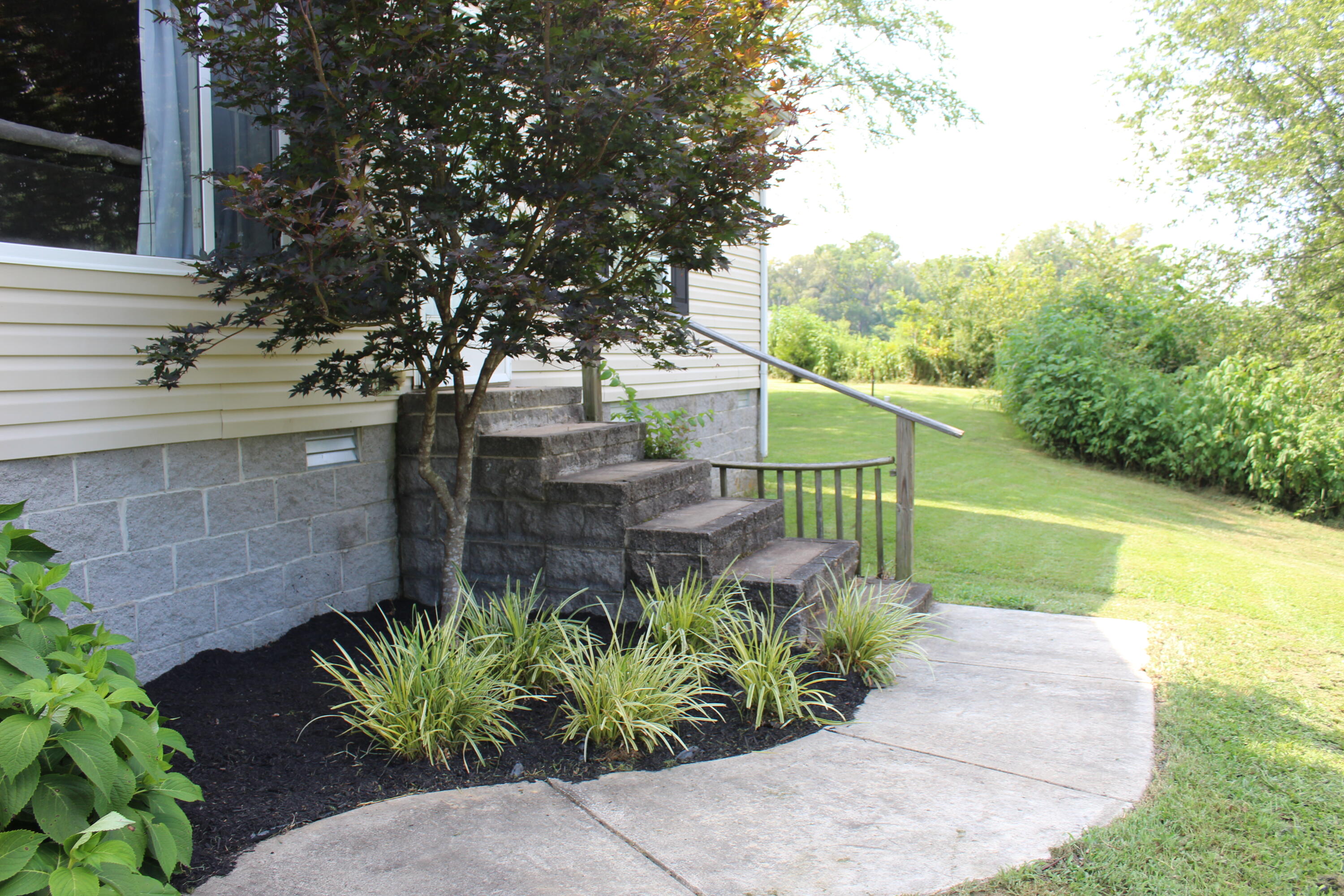 2413 Lowes Road Cunningham, KY 42035 - Photo 39 of 43 IMG_9354