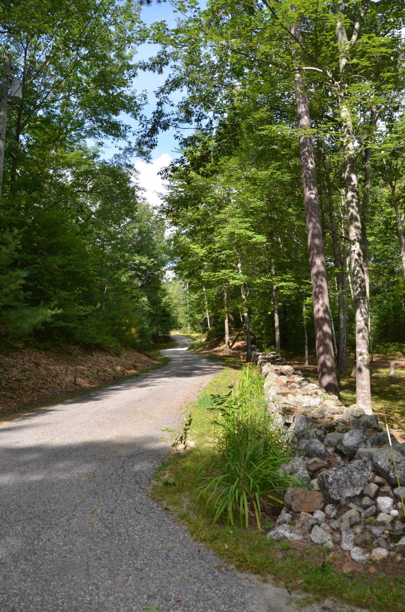 36 Bishop Road Poland, ME 04274 - Photo 46 of 46 DSC_8899