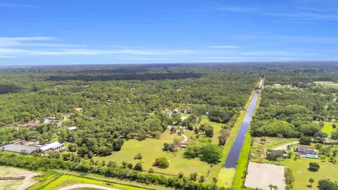 a view of a plant in a garden