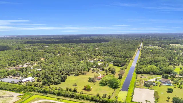 a view of a plant in a garden