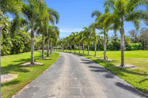 a view of a park with palm trees