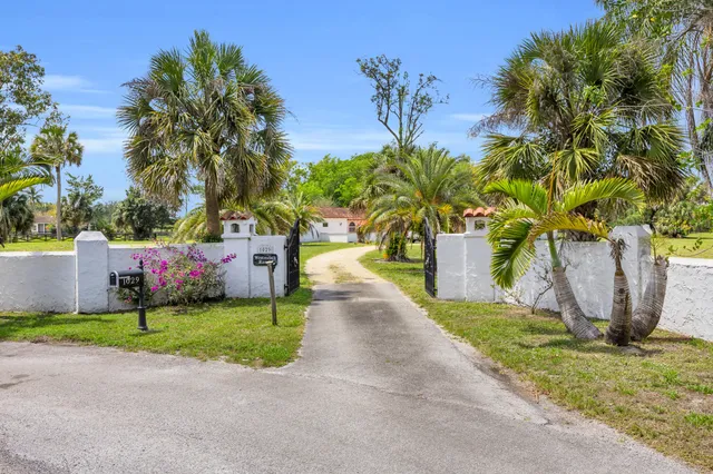 a view of a park with plants and trees