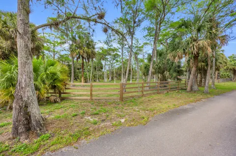 a view of a park with large trees