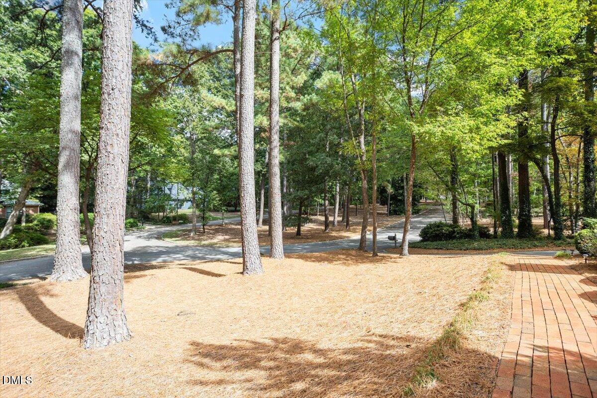 12-128 Ammons Dr [2571078]_12