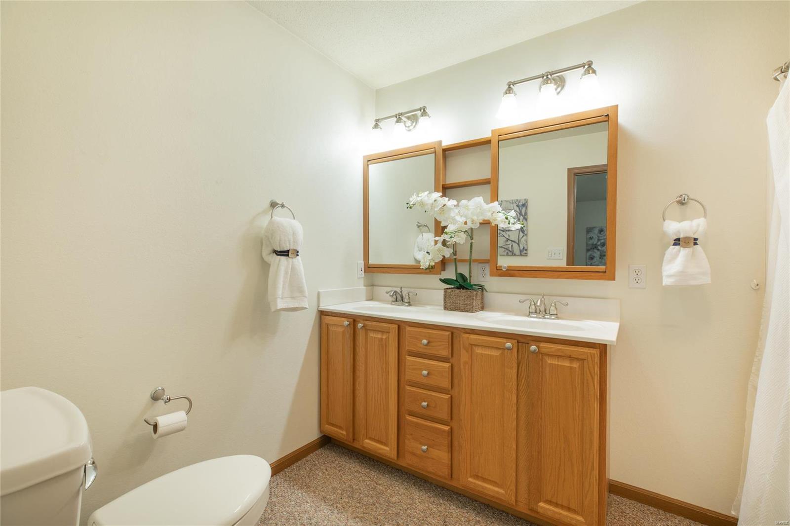 1831 Marine Road St. Jacob, IL 62281 - Photo 28 of 40