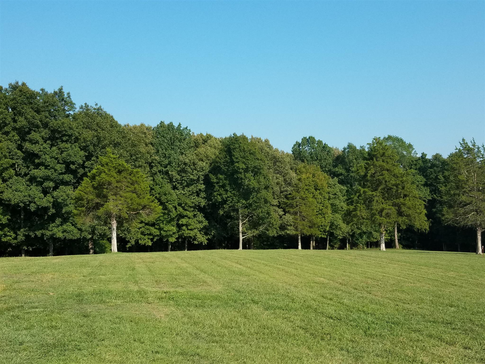 3 Barnhill Road Primm Springs, TN 38476 - Photo 5 of 8 a view of a big yard with a small yard