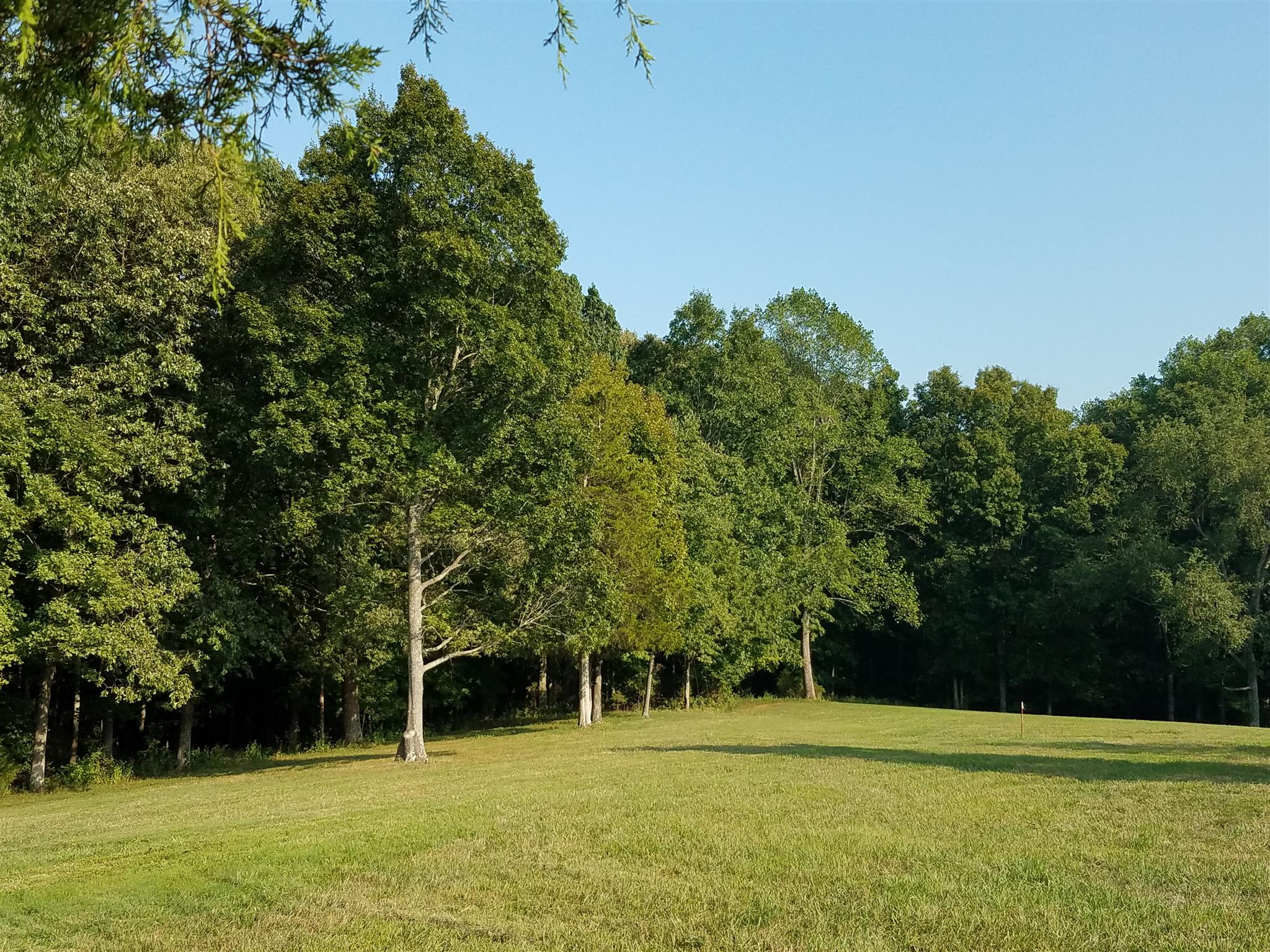 3 Barnhill Road Primm Springs, TN 38476 - Photo 8 of 8 a backyard of a house with lots of green space