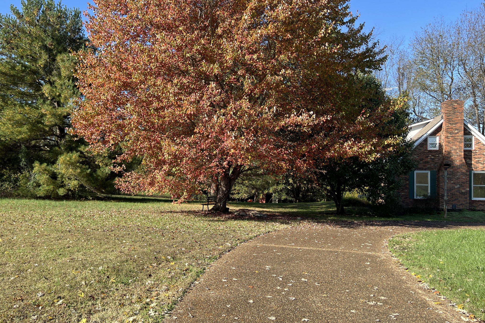 1015 Salem Road Franklin, KY 42134 - Photo 42 of 61 a view of backyard with green space
