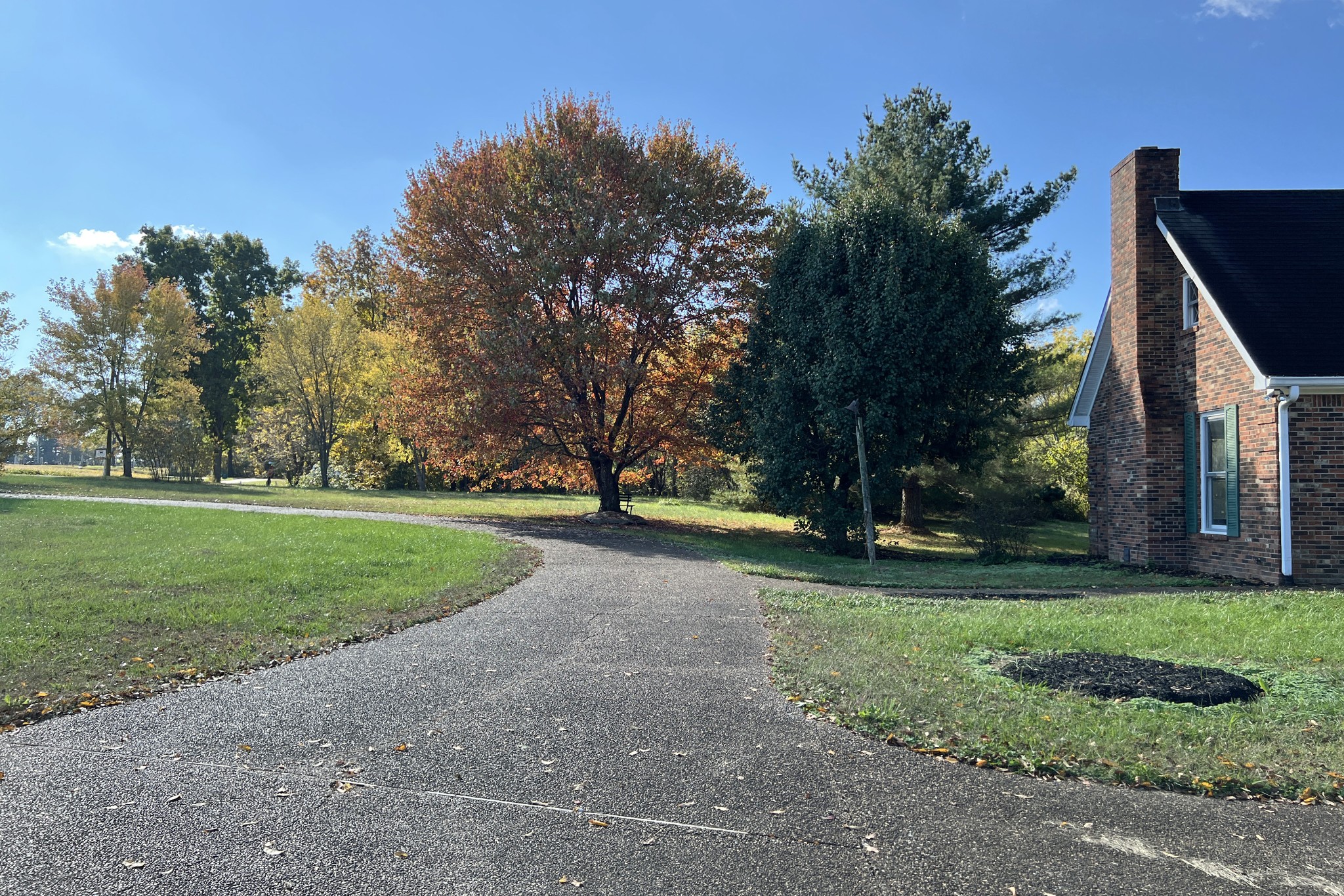 1015 Salem Road Franklin, KY 42134 - Photo 43 of 61 a view of a park with large trees