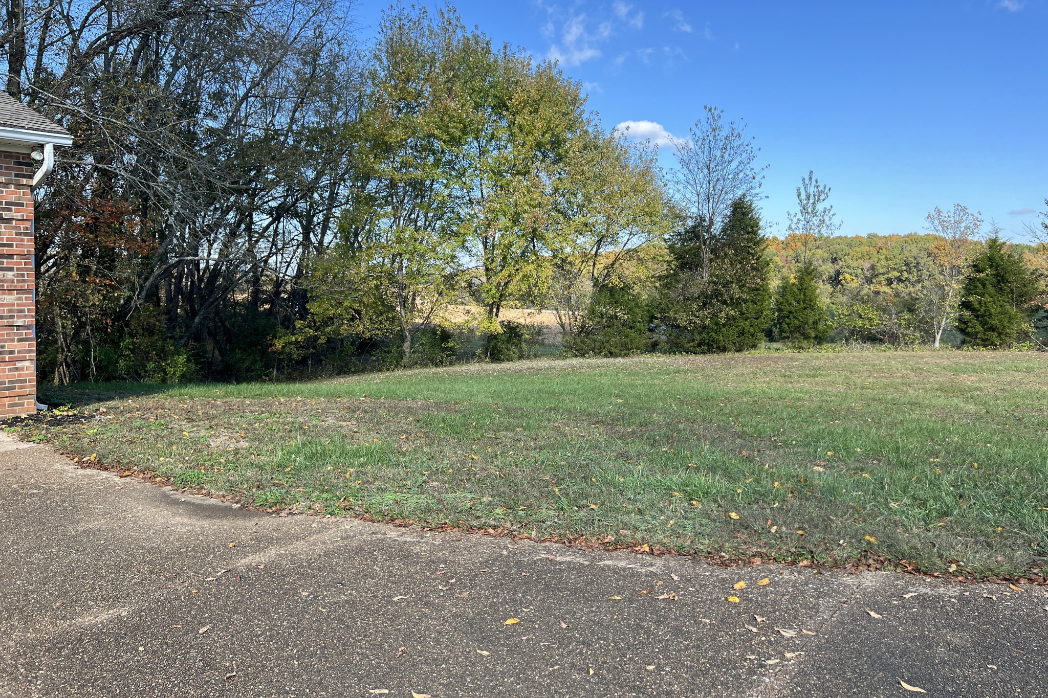 1015 Salem Road Franklin, KY 42134 - Photo 47 of 61 a view of a field with trees in background