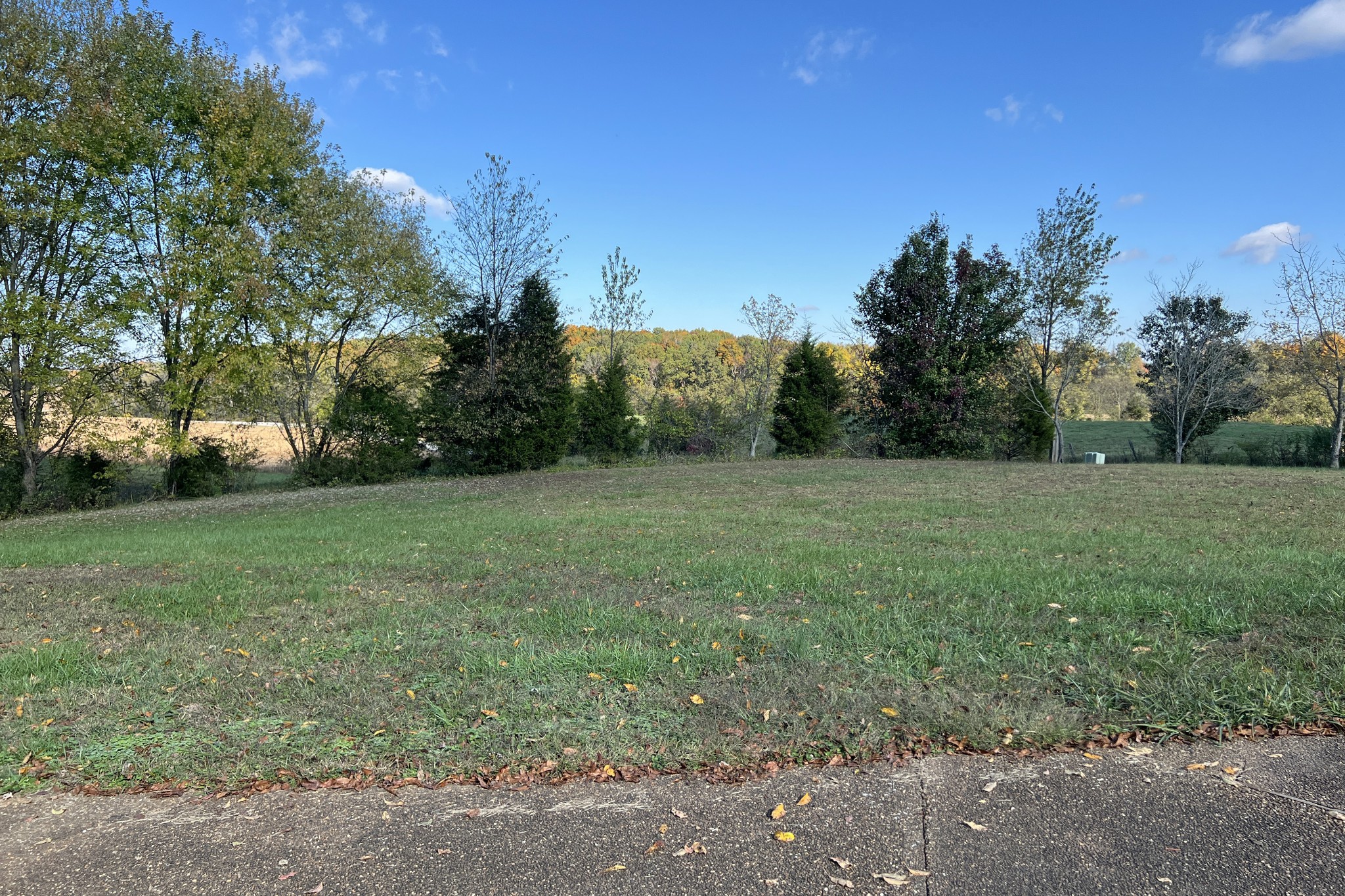 1015 Salem Road Franklin, KY 42134 - Photo 48 of 61 a view of a grassy field with trees in the background