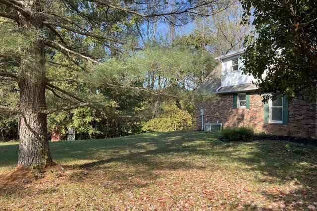 a view of a dry yard with trees