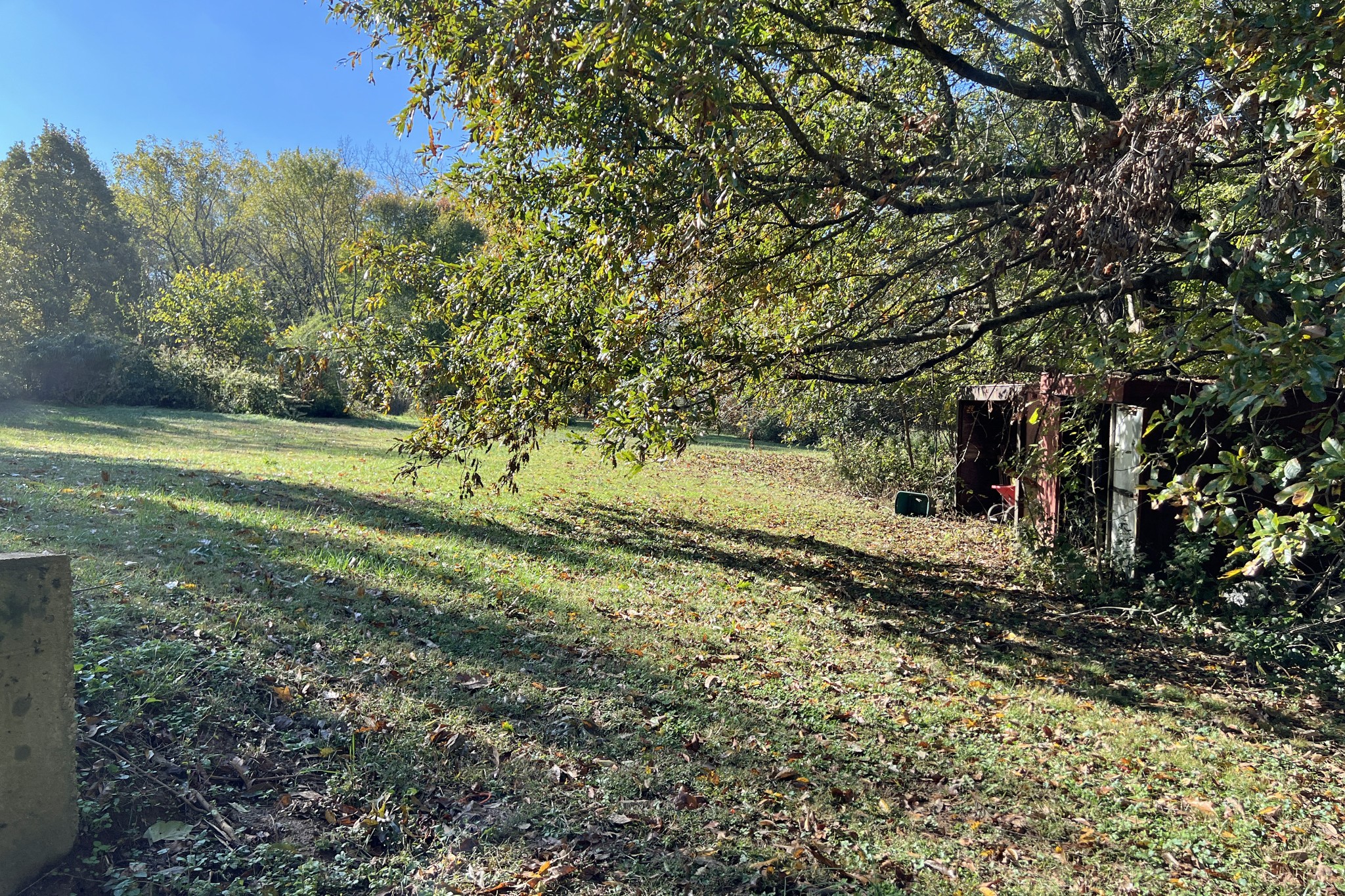1015 Salem Road Franklin, KY 42134 - Photo 57 of 61 a view of a yard with large trees