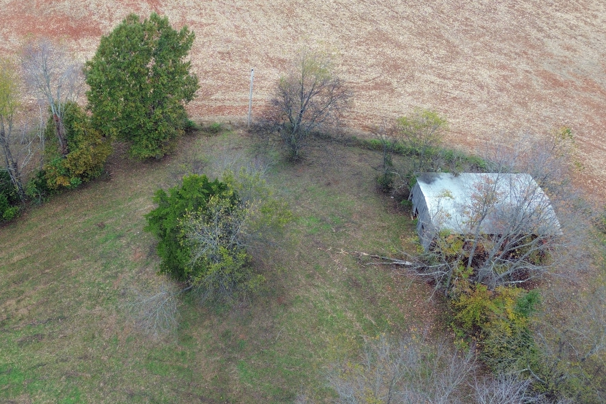 1015 Salem Road Franklin, KY 42134 - Photo 60 of 61 a view of a dry yard with trees