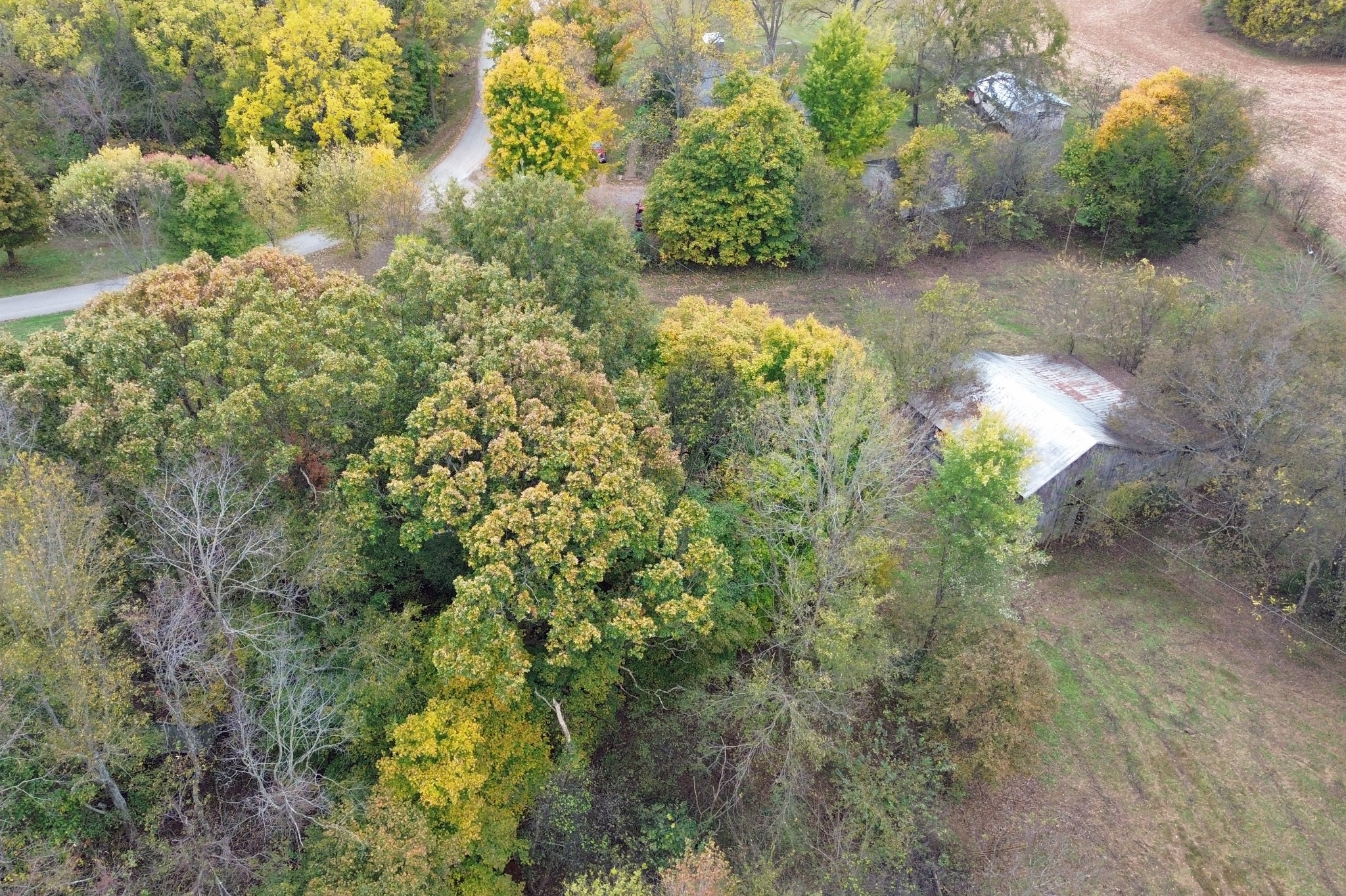 1015 Salem Road Franklin, KY 42134 - Photo 61 of 61 a view of a lake with a yard