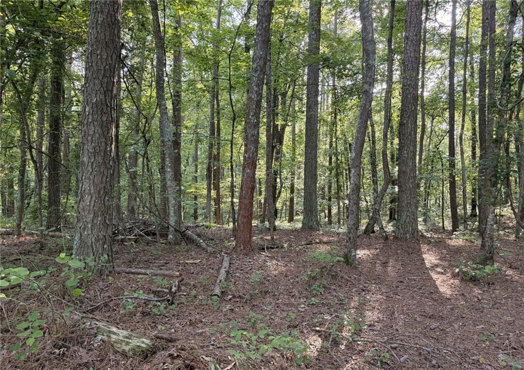 1 Wildcat Road Buchanan, GA 30113 - Photo 20 of 23