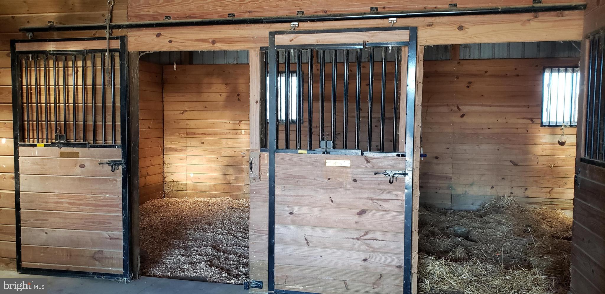 2031 Peters Corner Road Marydel, MD 21649 - Photo 11 of 45 paddocks
