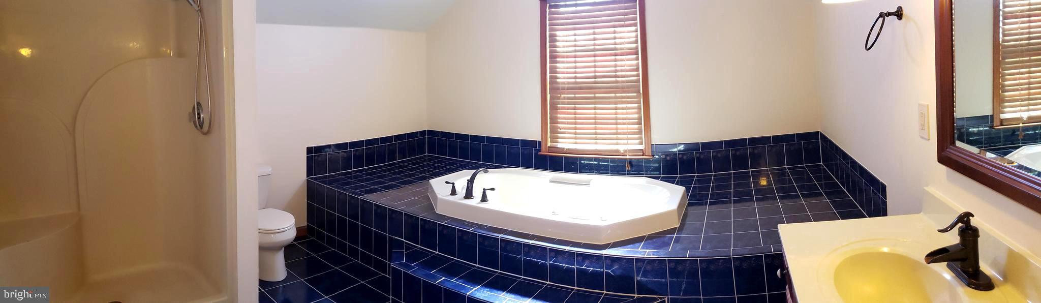 2031 Peters Corner Road Marydel, MD 21649 - Photo 24 of 45 Master bath with tub and shower stall