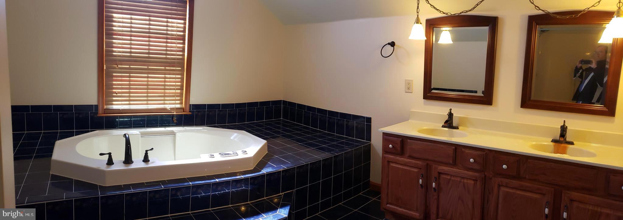 2031 Peters Corner Road Marydel, MD 21649 - Photo 25 of 45 Master bath
