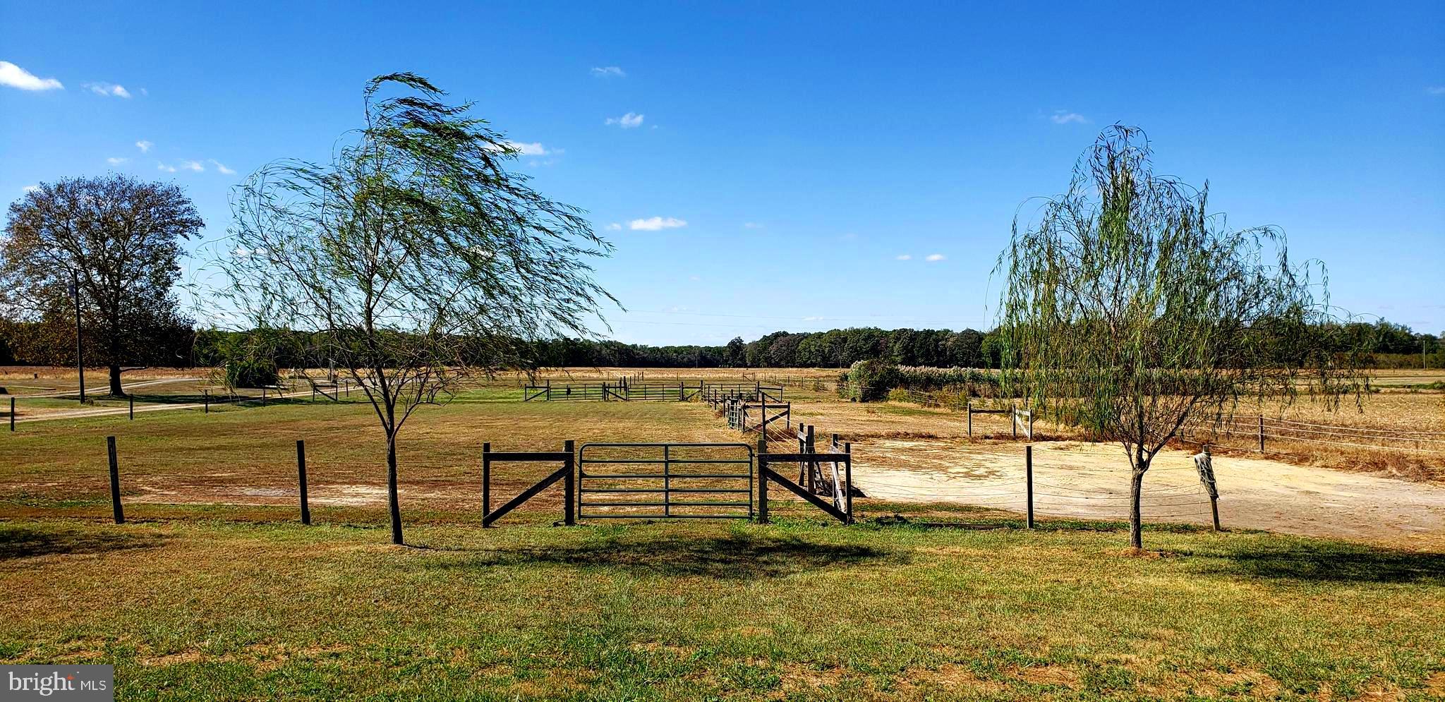 2031 Peters Corner Road Marydel, MD 21649 - Photo 4 of 45 Pasture