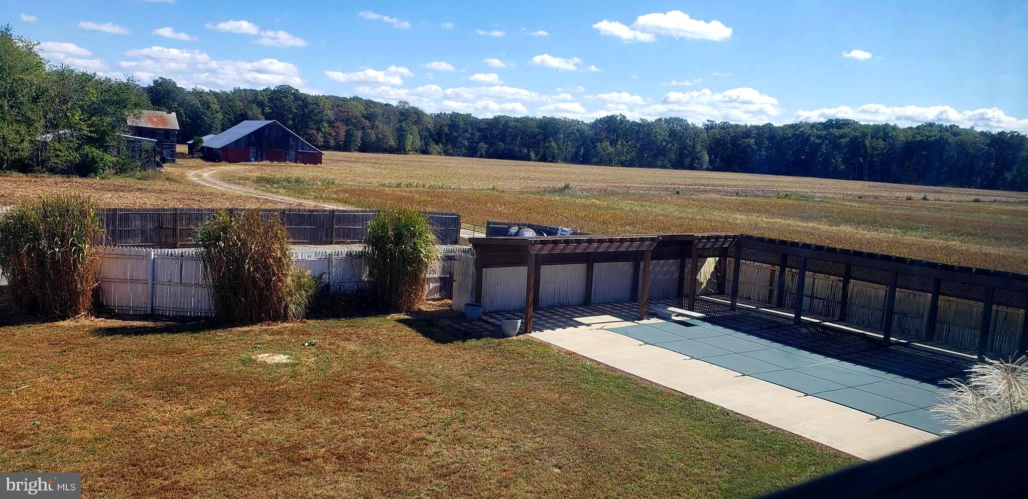 2031 Peters Corner Road Marydel, MD 21649 - Photo 31 of 45 in-ground pool