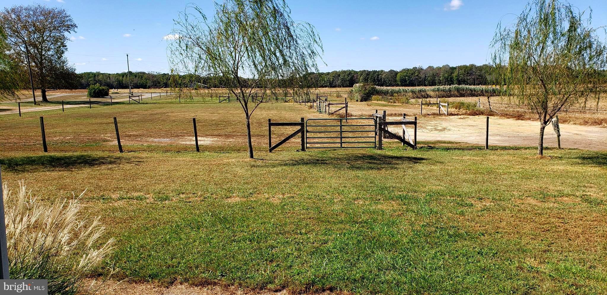 2031 Peters Corner Road Marydel, MD 21649 - Photo 5 of 45 pasture