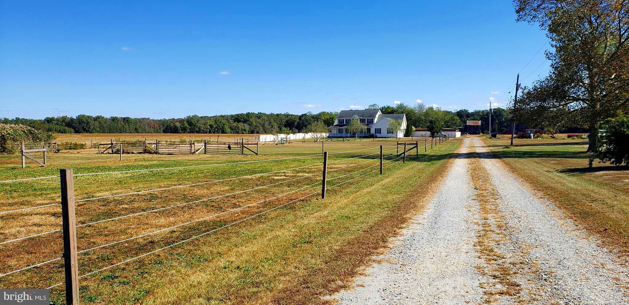2031 Peters Corner Road Marydel, MD 21649 - Photo 45 of 45 drive view