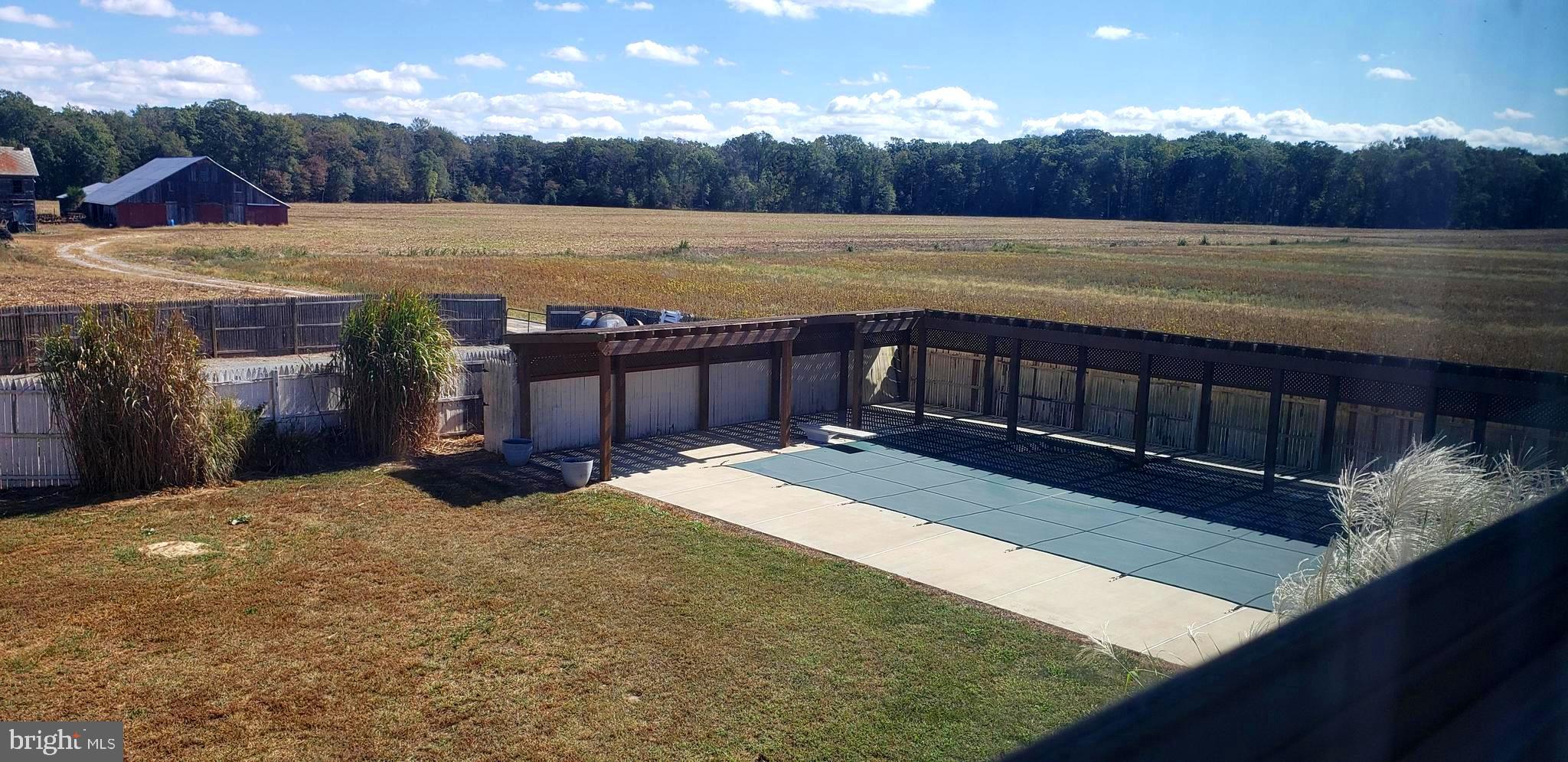 2031 Peters Corner Road Marydel, MD 21649 - Photo 6 of 45 in-ground pool