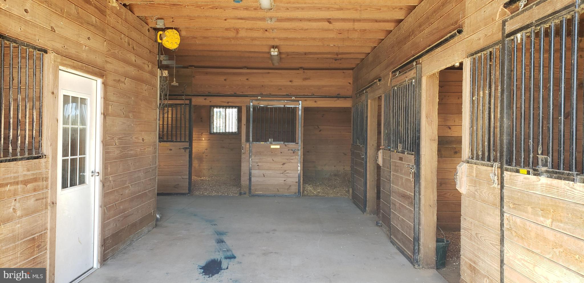 2031 Peters Corner Road Marydel, MD 21649 - Photo 10 of 45 paddocks