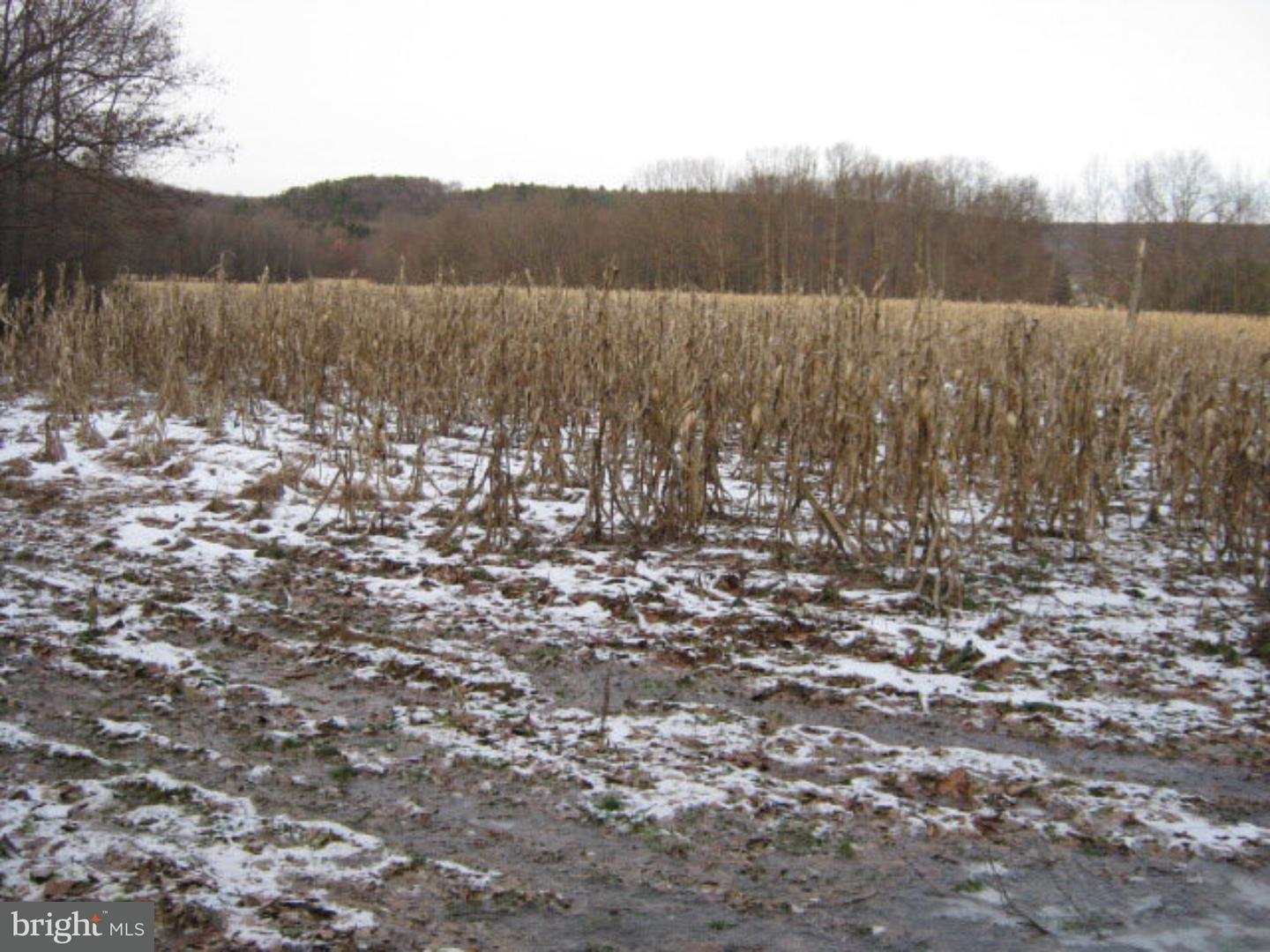 Lot 16 Berry Road Andreas, PA 18211 - Photo 1 of 1 Gallery Image 1