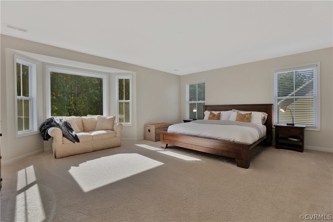 15954 Longlands Road Chesterfield, VA 23832 - Photo 19 of 42 Gallery Image 19