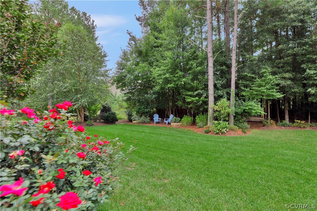 15954 Longlands Road Chesterfield, VA 23832 - Photo 40 of 42 Gallery Image 40