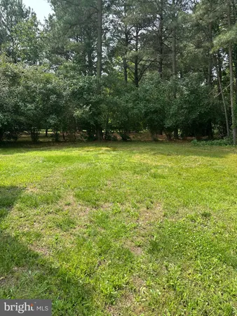 a view of a field with a trees