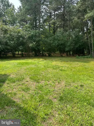a view of a field with a trees