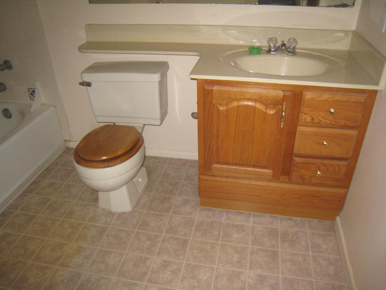 3314 East Nisbet Road Phoenix, AZ 85032 - Photo 12 of 25 Main Bath Room View 2