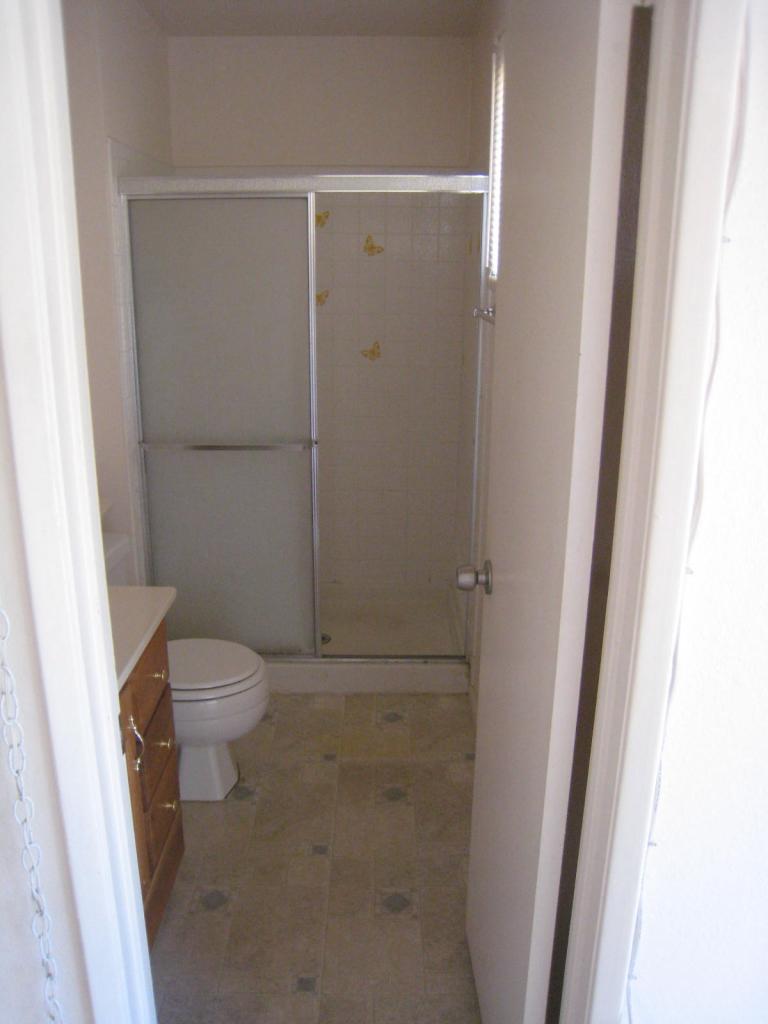 3314 East Nisbet Road Phoenix, AZ 85032 - Photo 17 of 25 Master Bathroom