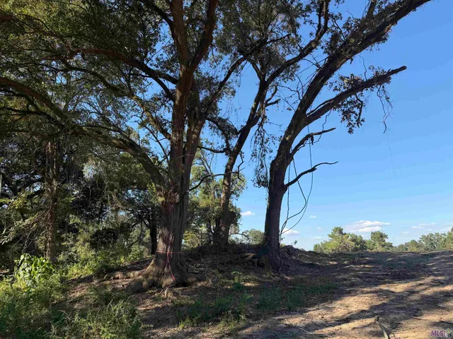 $415,000 | 29 North Stately Oaks Drive, Baton Rouge, LA 70810