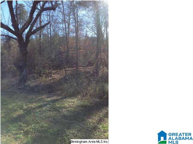 0 Henderson Lake Road, Unit 128 Munford, AL 36268 - Photo 10 of 31