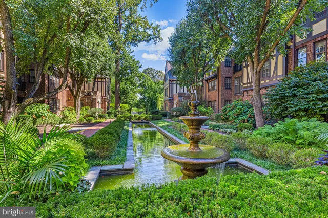 a view of a garden with plants