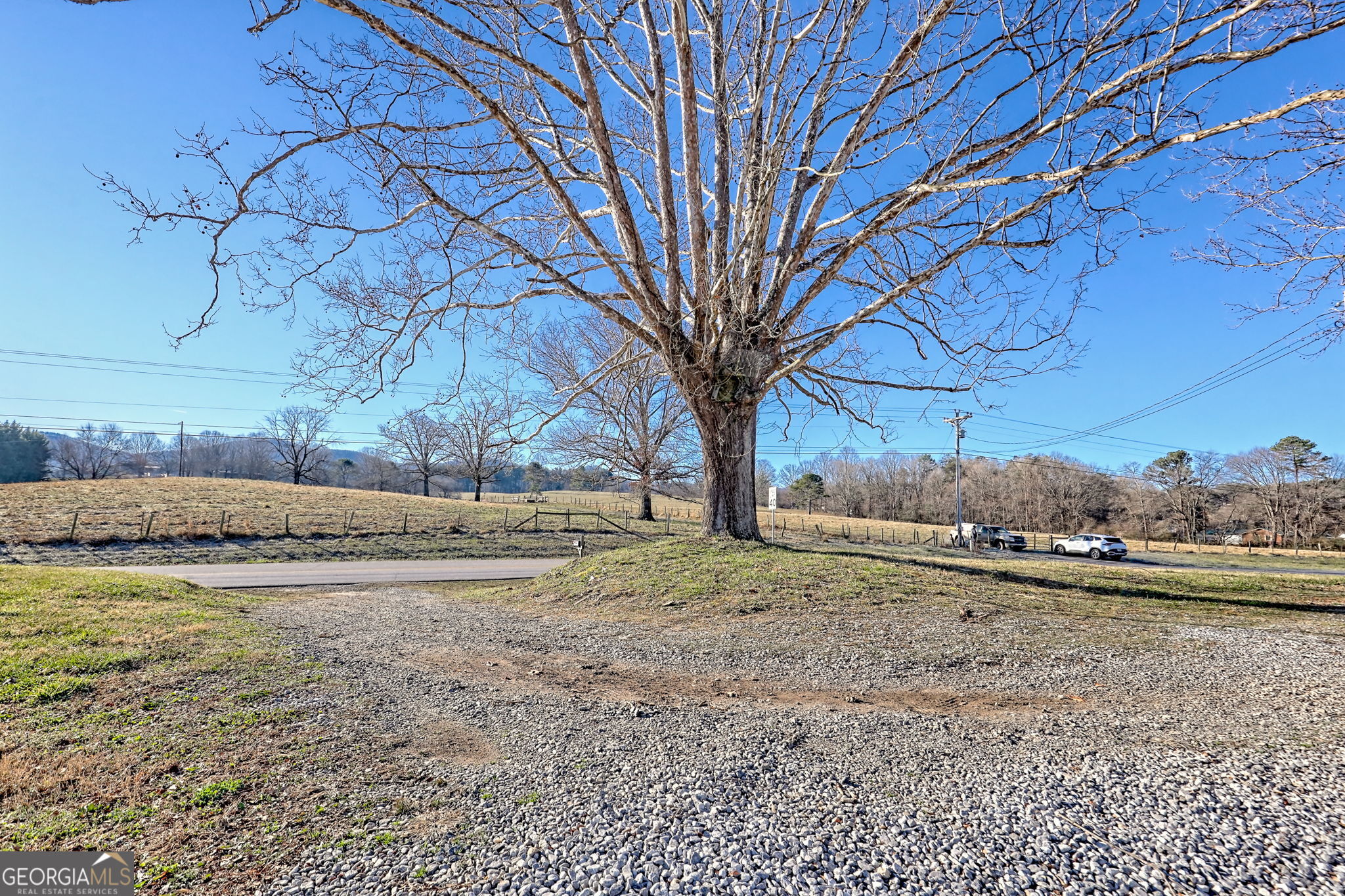 42 Jones Creek Road Blairsville, GA 30512 - Photo 55 of 56 a view of a yard with a large tree