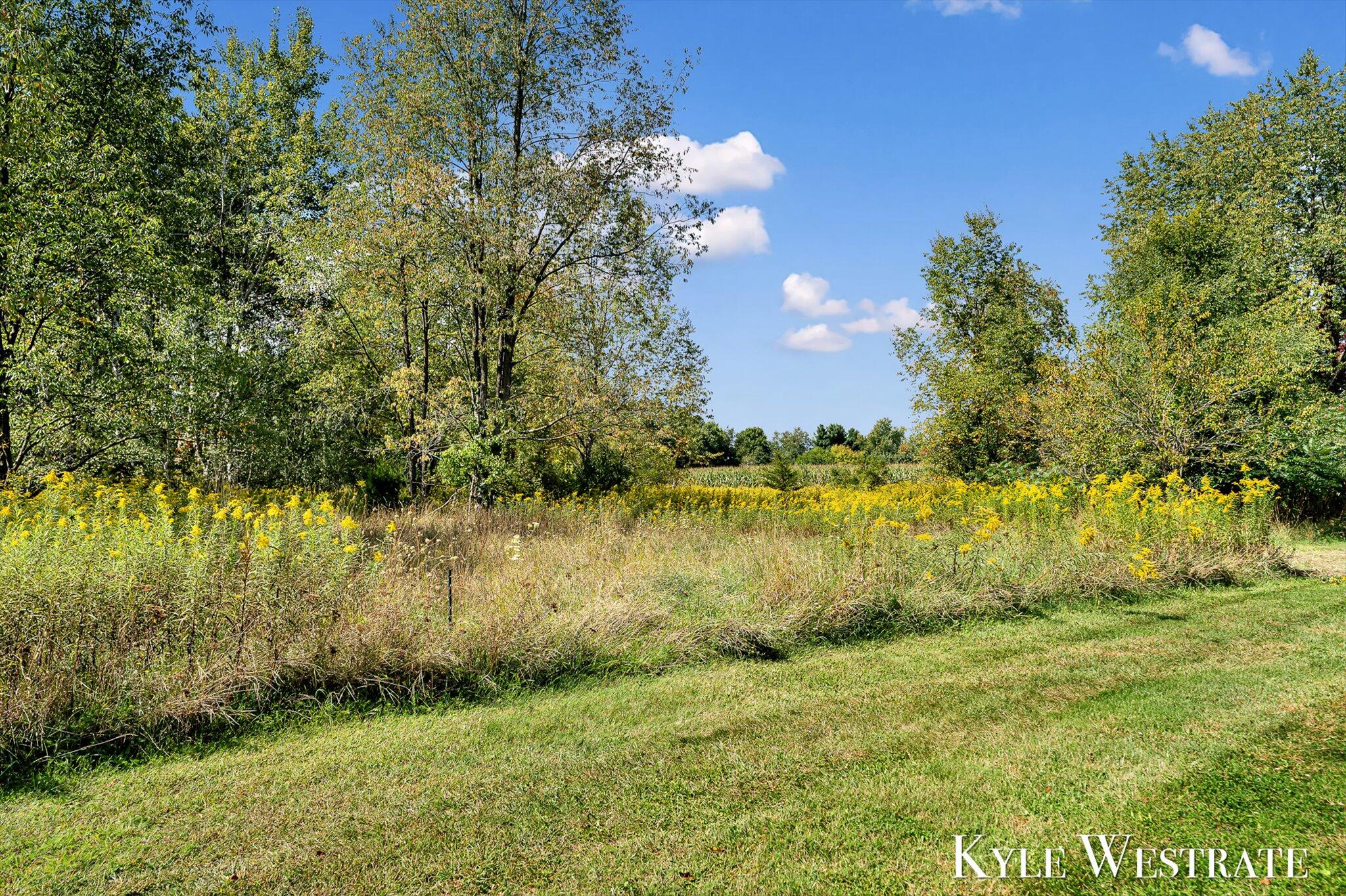 6851 Dumon Road Belding, MI 48809 - Photo 34 of 62 69-AIV00388