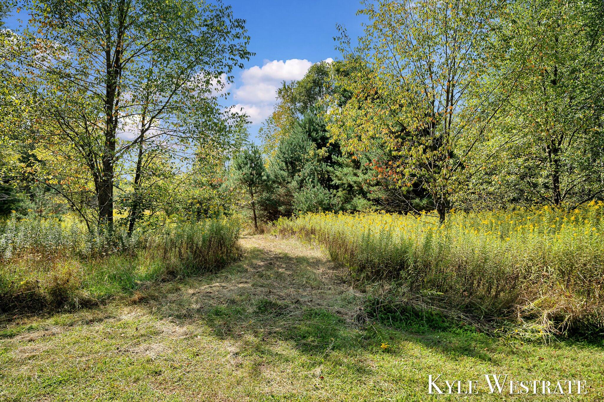 6851 Dumon Road Belding, MI 48809 - Photo 56 of 62 68-AIV00385