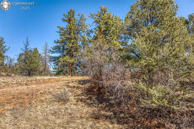 1389 Buttonwood Road Canon City, CO 81212 - Photo 24 of 39 Gallery Image 24
